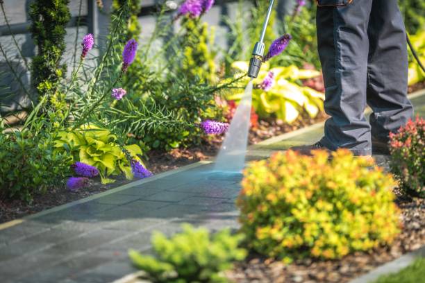 Best Gutter Cleaning  in Kendall, FL